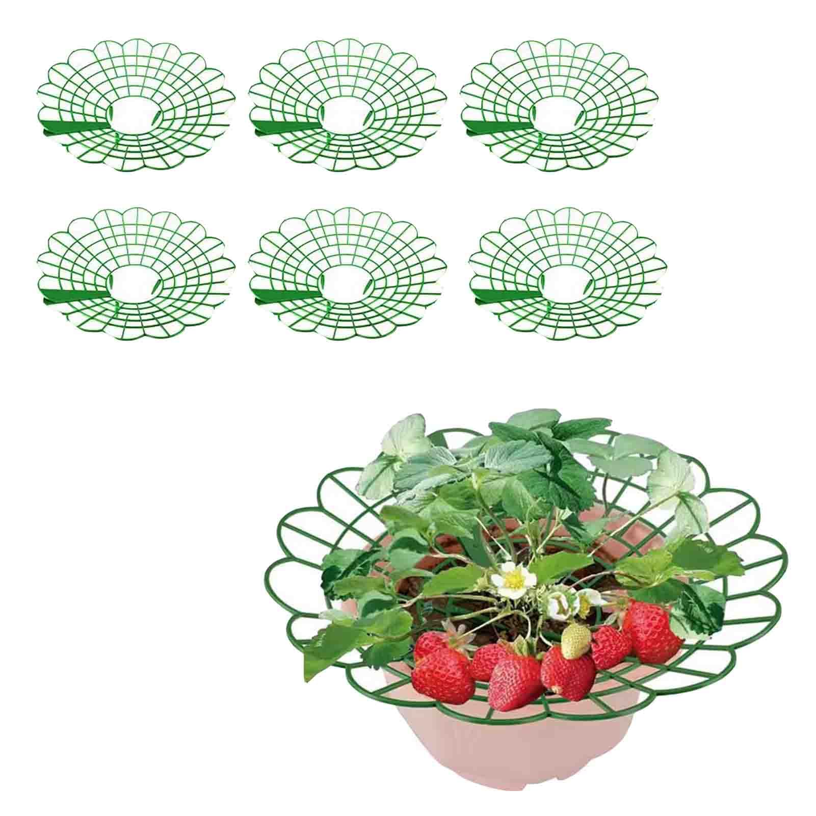 Strawberry Supports, Strawberry Plant Support for Growing Plants, Reusable Strawberry Plant Protector Stand for Garden Balcony Fruit Accessories (6Pcs)