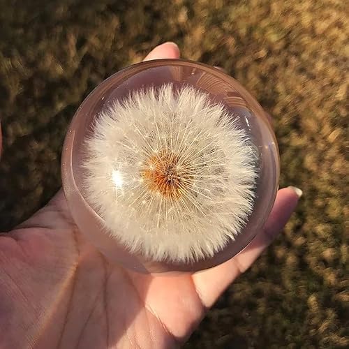 Dandelion Paperweight - Made from a Real Dandelion, Hand Blown Glass Specimen Ball, Dandelion Fengshui Ball Figurine for Home Desktop Decor Decoration, Crystal Ball with Gift Box (3.54in/9cm) - Thumbnail 5
