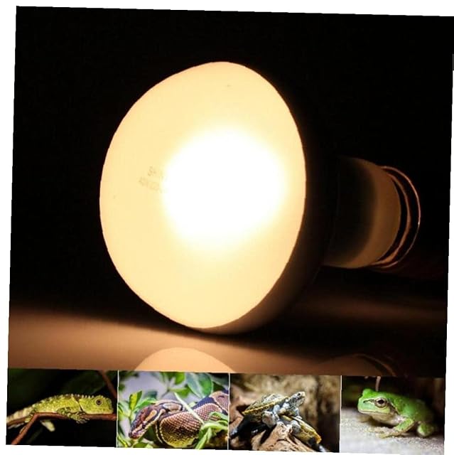 Foto 4 de 5 de 2 Paquete 75w Uvb Reptil Light UVA Uvb Lámpara Calor Bombilla Accesorios Barbudos para Reptiles 220v