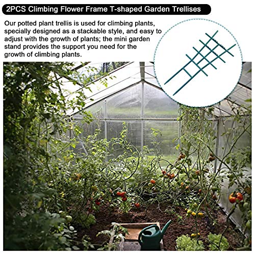 Nedyet 2 stuks tuinplanten steunkooien, klimrek outdoor plantenframe stand groeihulp voor tuin klimplanten bloemen… - Afbeelding 6
