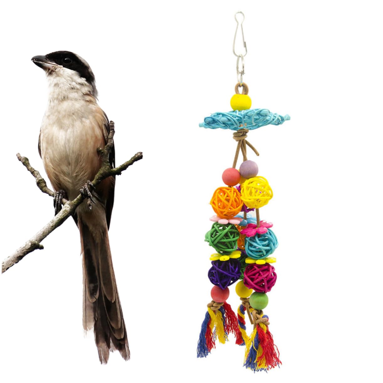 FRCOLOR Lot de 4 petits jouets pour oiseaux, calopsittes, jouets pour cage à oiseaux, jouets à suspendre, jouets à mâcher pour perroquet, balançoire, support en bois