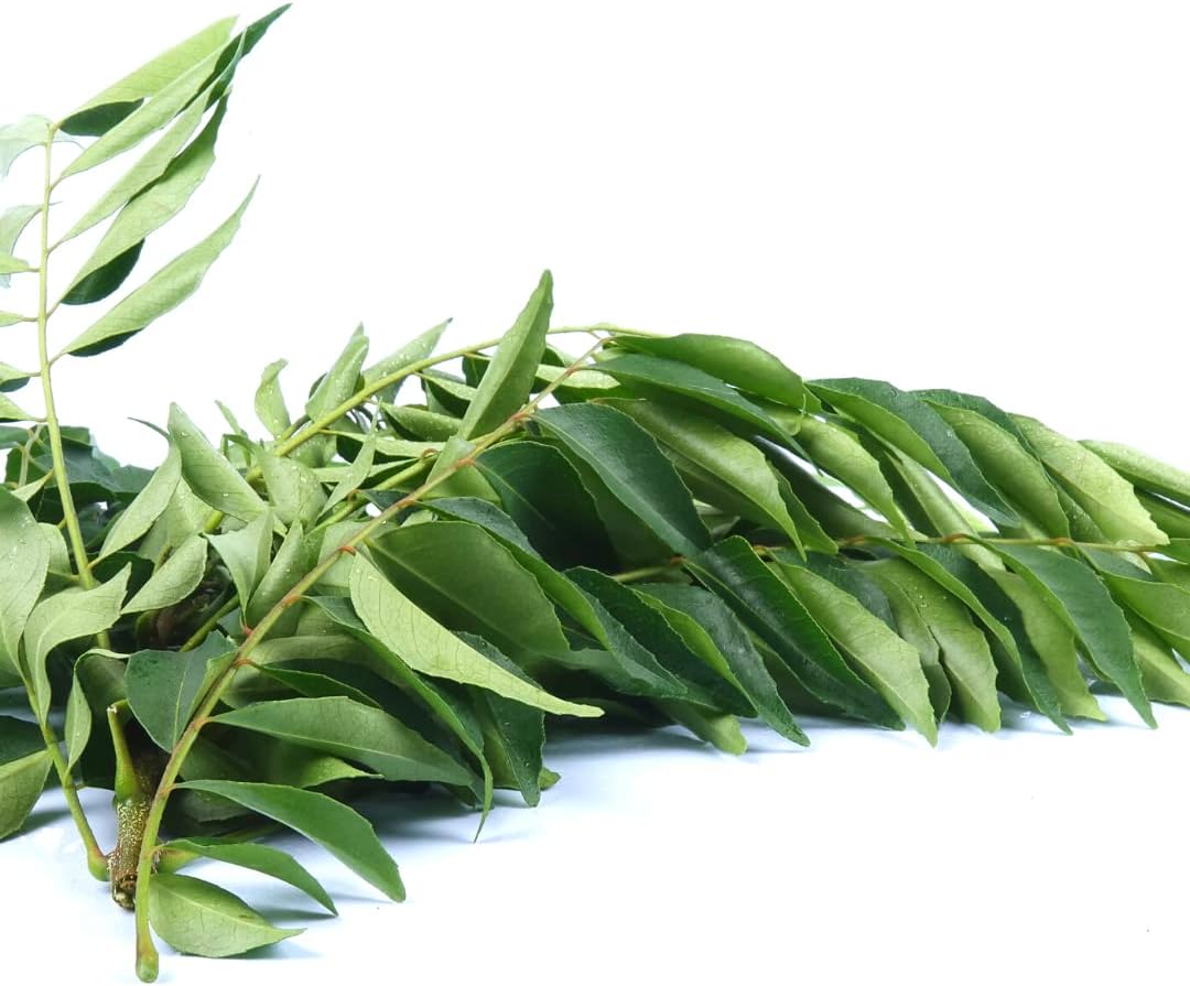 Fresh Curry Leaves 50G