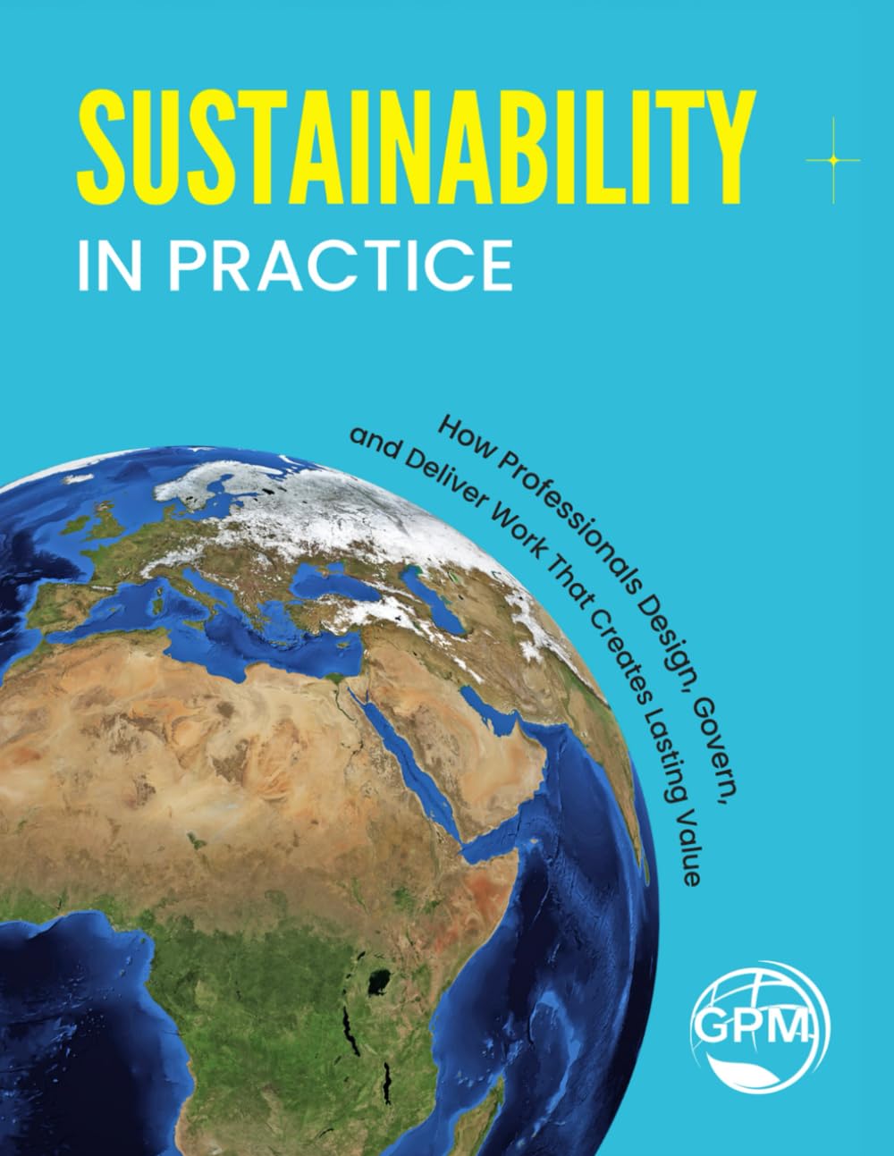 Sustainability in Practice: How Professionals Design, Govern, and Deliver Work That Creates Lasting Value