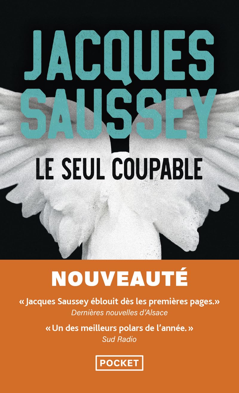 Le seul coupable