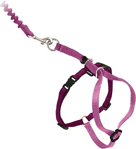 PetSafe Come With Me Kitty Koşum Takımı ve Bungee Tasma, Kediler için Koşum, Büyük, Tozlu Gül/Bordo