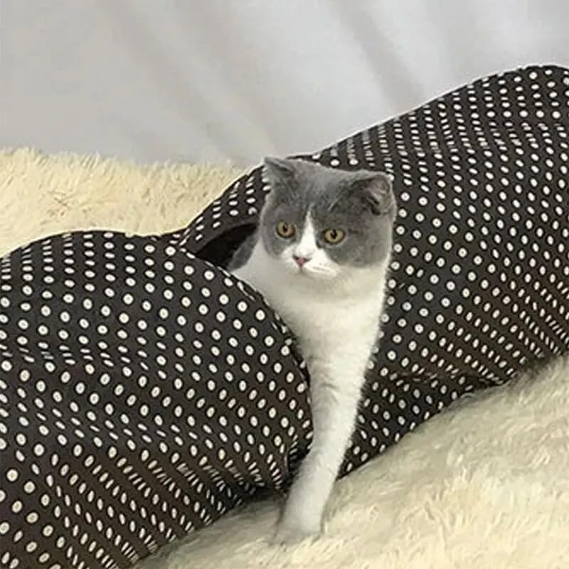 Jouet Tunnel pour Chat De Compagnie 90x25cm Tube Pliable Jeu D'intérieur Et D'extérieur Jouets pour Chiots avec Balle pour Puzzle Exercice De Dissimulation Entraînement