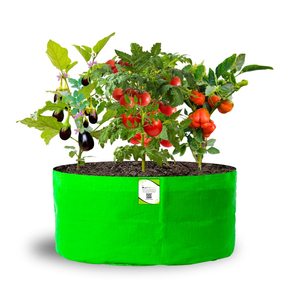 Big Fruit Plant Grow Bags - Organic Bazar (Pack of 2) -17 Big Fruit Plant Grow Bags - Organic Bazar (Pack of 2) -17