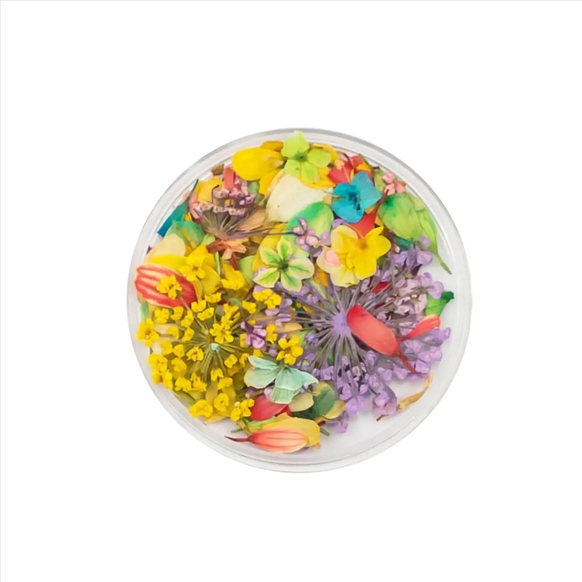 Savni Small Dried Flower Bunch in Circle Box, Multicolour, Decorative Floral Arrangement (03)-image-6