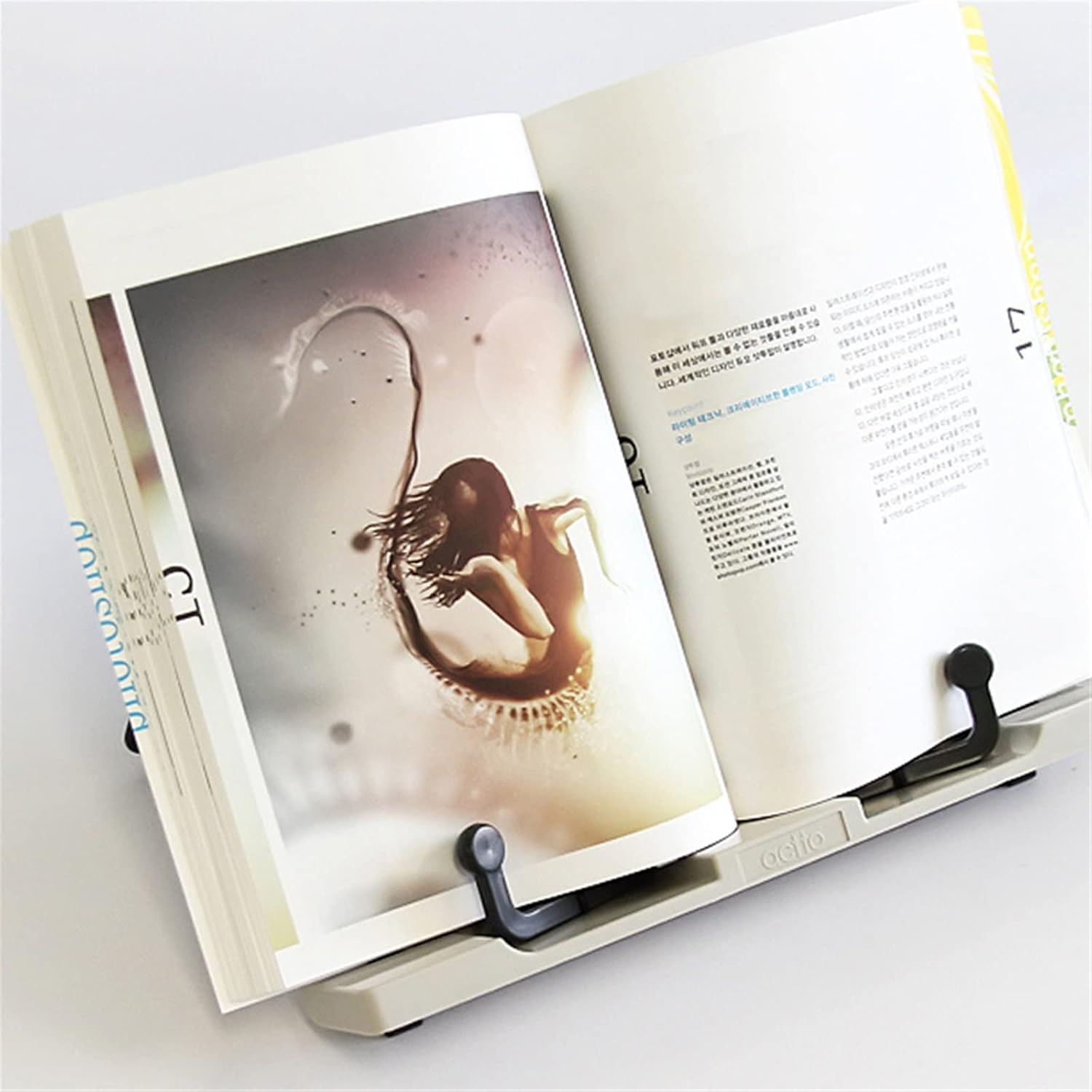 Paranoia パラノイア　Nap type-WSL ナップ Paranoia (2025) - All You Need to Know BEFORE You Go (with Reviews)