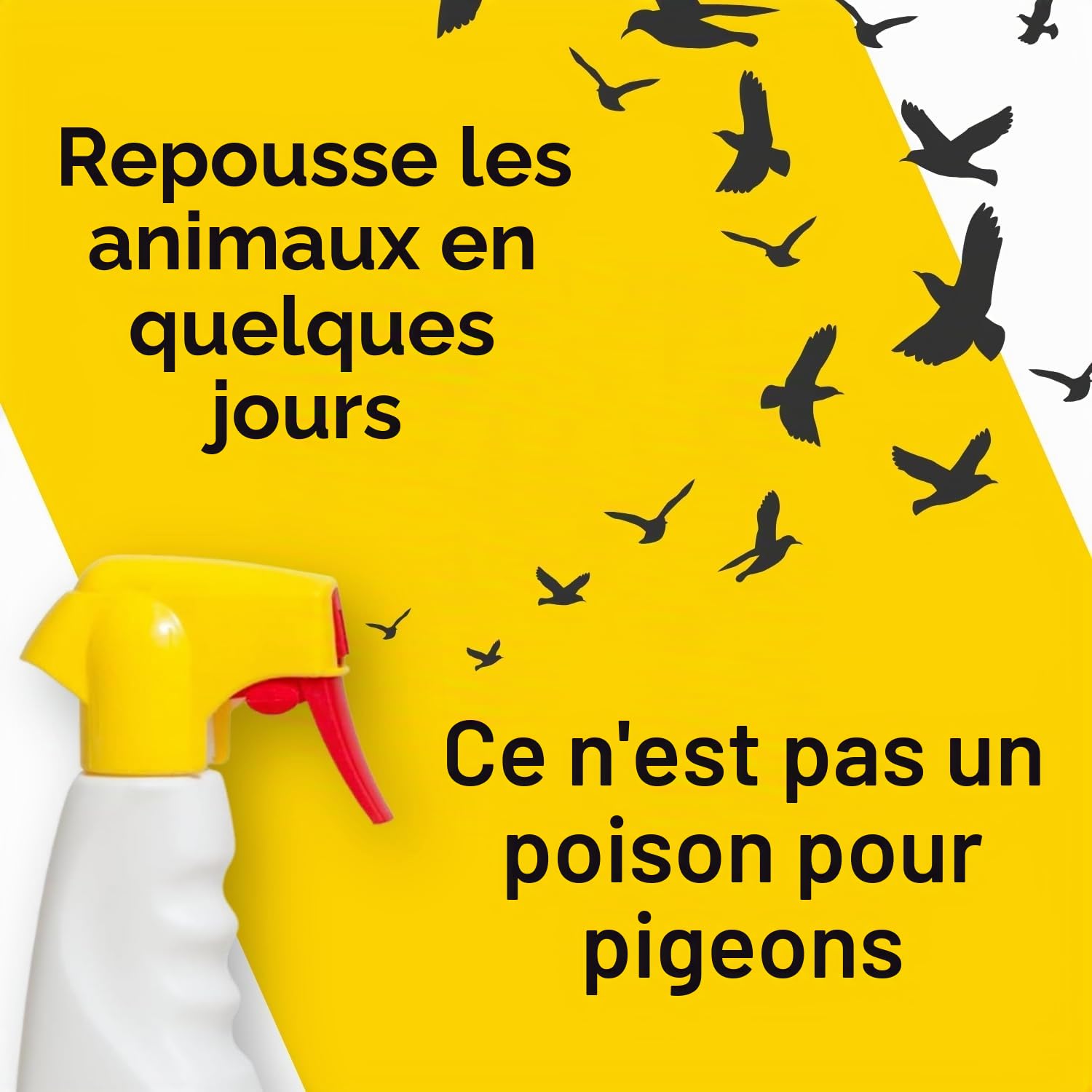 Altea Borne de pigeon, répulsif à pigeons longue durée, non nocif pour les humains et les animaux domestiques, éloigne les pigeons et les mouettes, spray prêt à l'emploi 750 ml