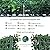ODTORY Artificial Grass Wall Panel Backdrop,10" X 10" 12P(8.4 sqft) UV-Anti Greenery Boxwood Panels for Indoor Outdoor Green Wall Decor & Ivy Fence Covering Privacy