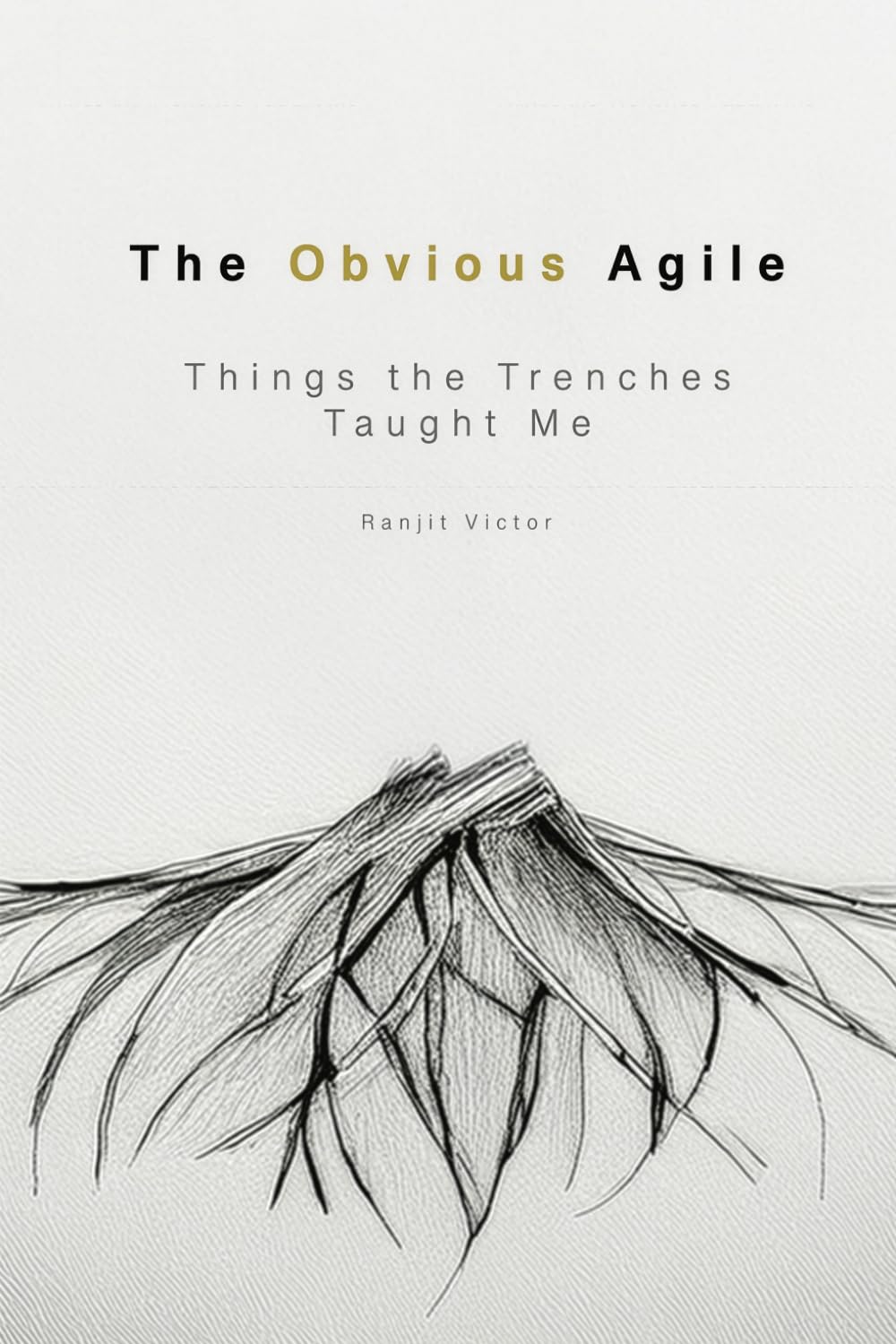 The Obvious Agile: Things the Trenches Taught Me