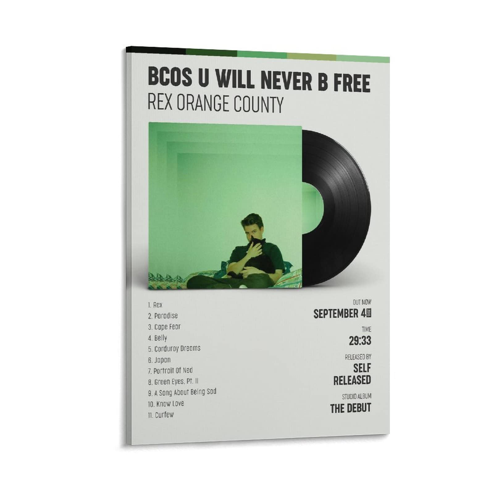 Poster Rex Orange County BCOS U WILL Never B FREE pour déco bureau et chambre