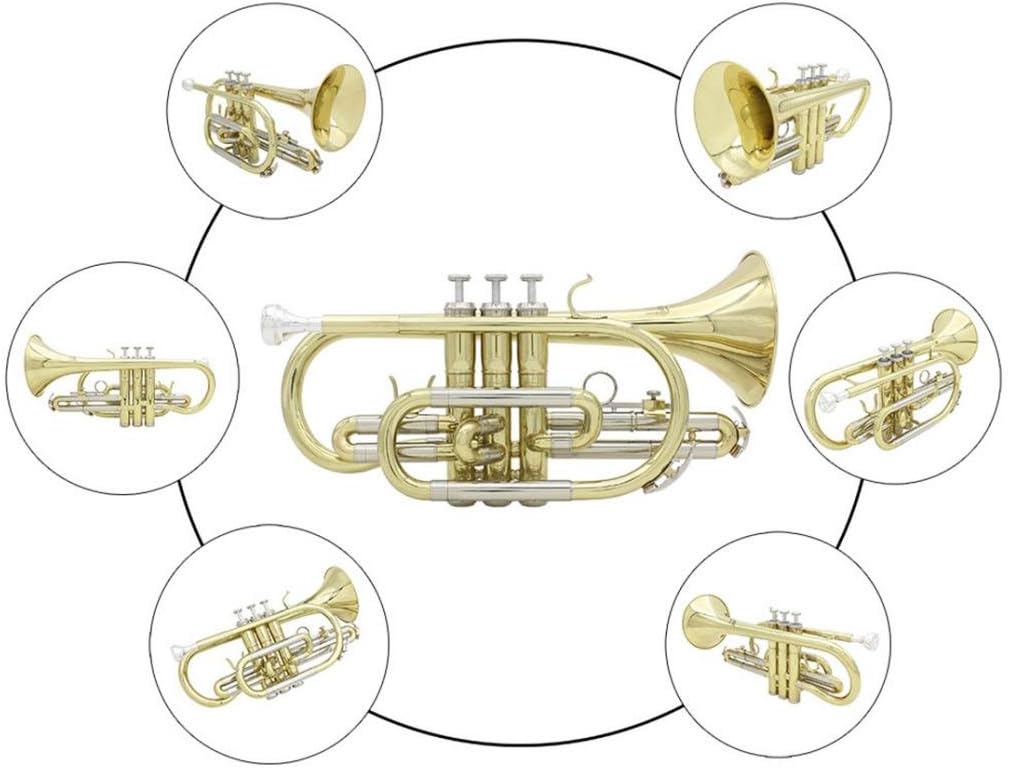 YIJU Exquisite Golden Bb Cornet Brass Instrument Set for Students Beginners : Musical Instruments