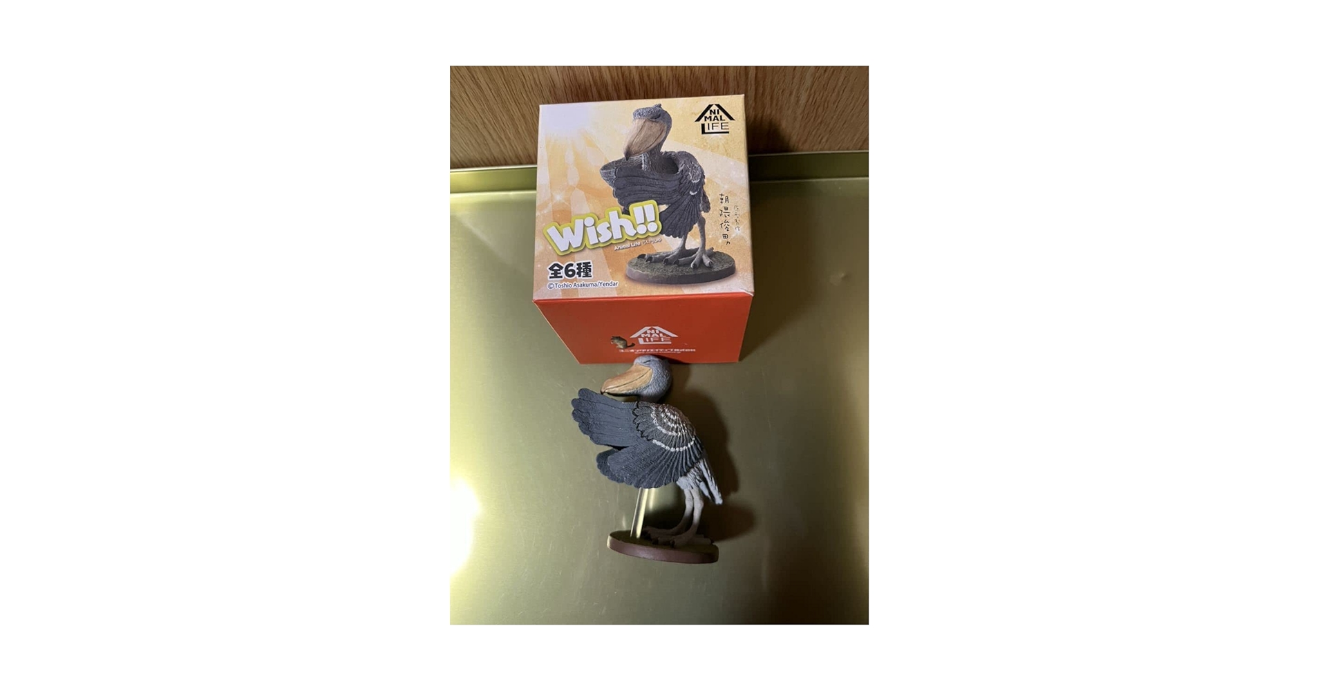 Amazon | 朝隈俊男 Animal Life Wish 祈り 単品 ハシビロコウ