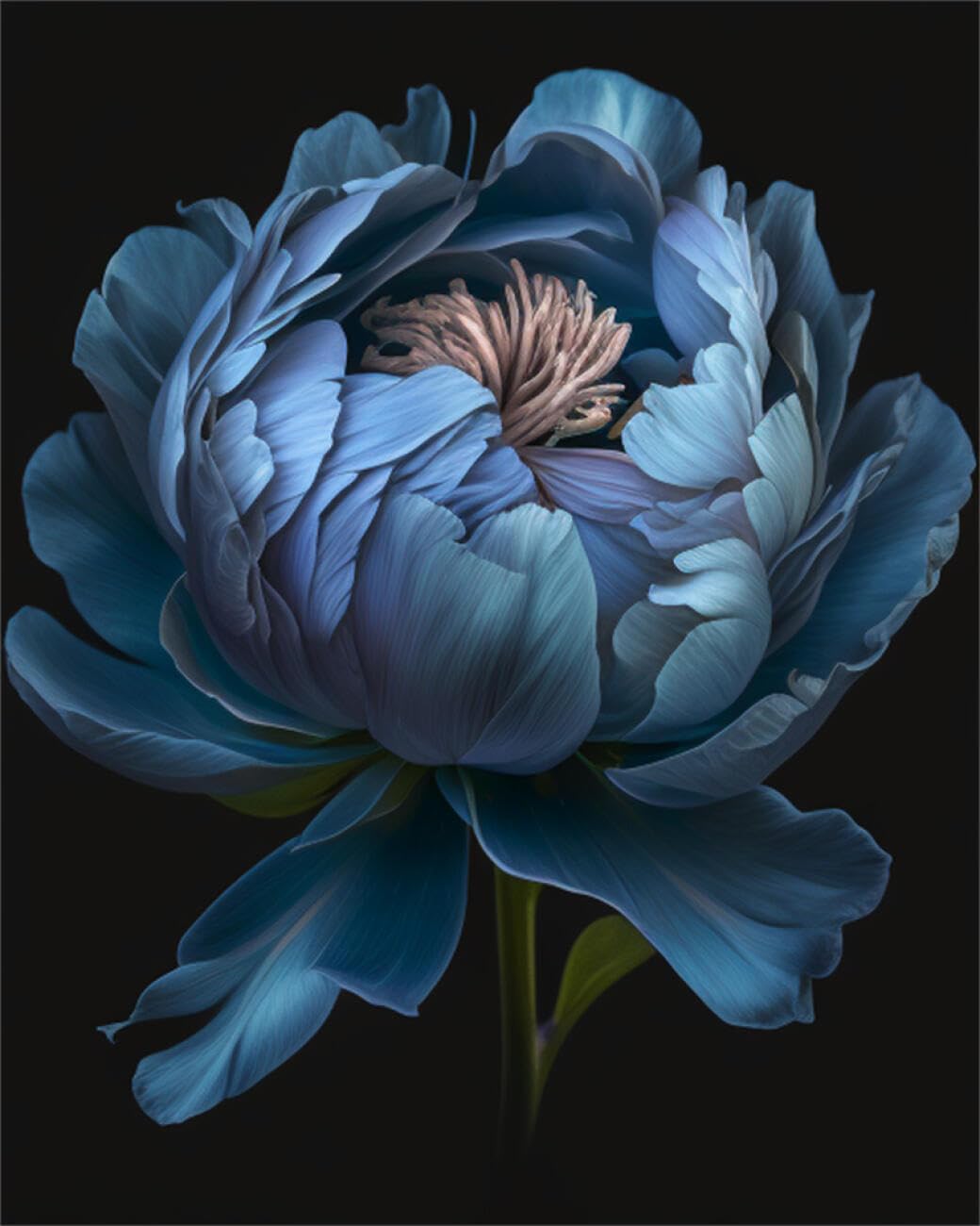 AMBATTERY Flowers DIY Bead Embroidery Set Fantasy Blue Peony Bead Embroidery Kit for Adults Needlepoint Tapestry Set Beaded Stitching 40x50cm