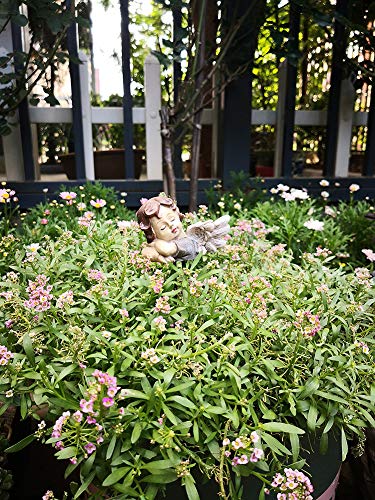 Jiumo Decorative Angles Garden Stakes Small Cherub For Potted Plants Little Angels Decorations Fairy Garden Accessories Memorial Figurine For Indoor Plant Set Of 2 #TOP6