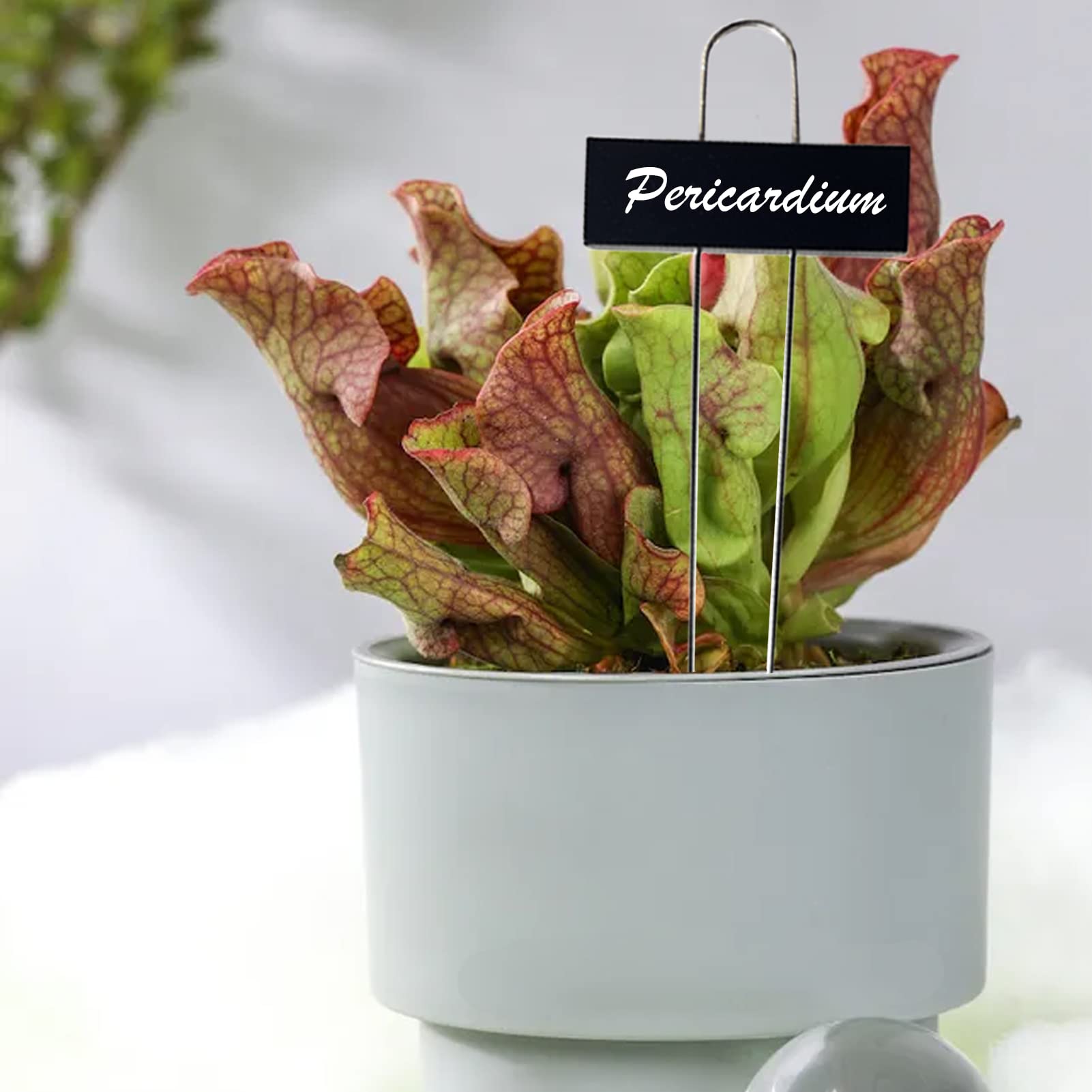 Metall Pflanzenschilder, Höhe 27.5cm Beschriftungsfeld 9x3cm, Wetterfeste Pflanzenstecker zum Beschriften für Garten, Hochbeet, Gewächshaus, Blumenbeet, Pflanzgefäße (30)