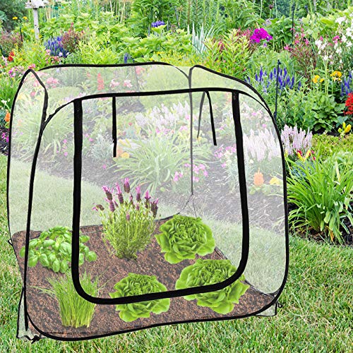 Serra per orto e giardino, Pop Up Groß