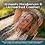 Sunnydaze Handwoven XXL Thick Cord Mayan Family Hammock for Outside - 625-Pound Capacity - Black/Natural