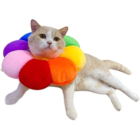 Amazon  4UPETスイカエリザベスカラー 猫用小型犬用 快適 柔らかい 