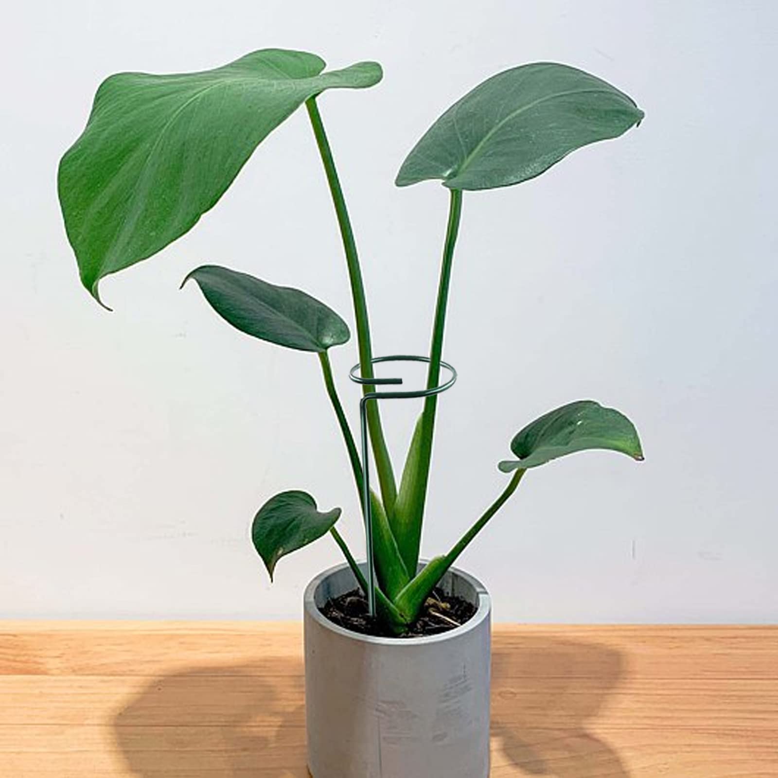 JFBUCF 2 stuks pioenkooien en steunen, 30 x 45 cm plantensteunstaken met 3 poten, doorgroeien plant ondersteunt ring voor bloem pioenroos tomaat roos wijnstok