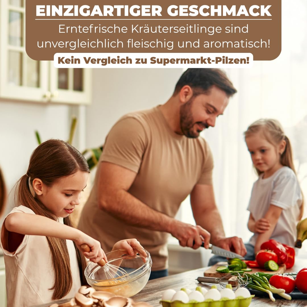 Hawlik Pilzbrut - Pilzzuchtset Bio Kräuterseitlinge - Pilze züchten Set mit Substrat, Myzel und Anleitung - Kinderleichte Pilzzucht ohne Vorwissen - Kräuterseitlinge züchten in Haus & Garten