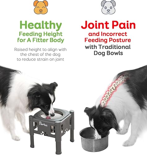 Miniatura 5 de Pawque Cuencos elevados de acero inoxidable de 80 onzas con soporte ajustable de plástico (3 alturas de 6.1 pulgadas, 7.7 pulgadas, 9.3 pulgadas),