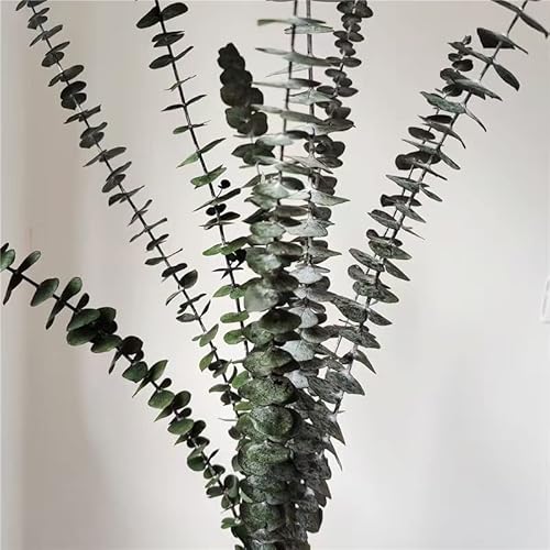 Ramo de Hojas de eucalipto Natural conservado, Rama de Flores Verdes esmeriladas para decoración del hogar