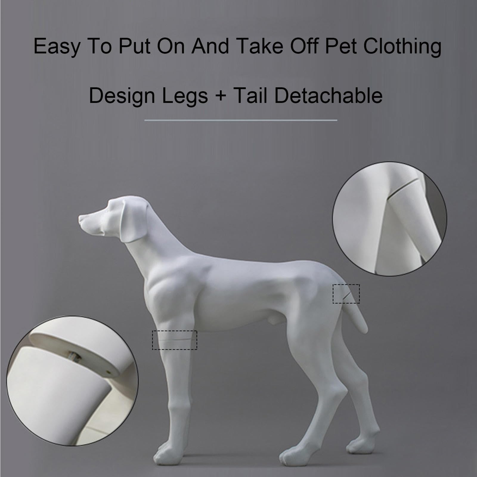 Modello di Visualizzazione di Abbigliamento per Animali Domestici, Manichino per Cani, Materiale FRP, Modello di Visualizzazione Multifunzionale Bianco Staccabile per Cani di Grandi