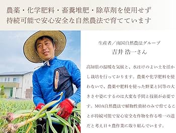 吉井浩一 吉井浩一