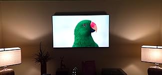 Review Image by Adam M. Adam M.