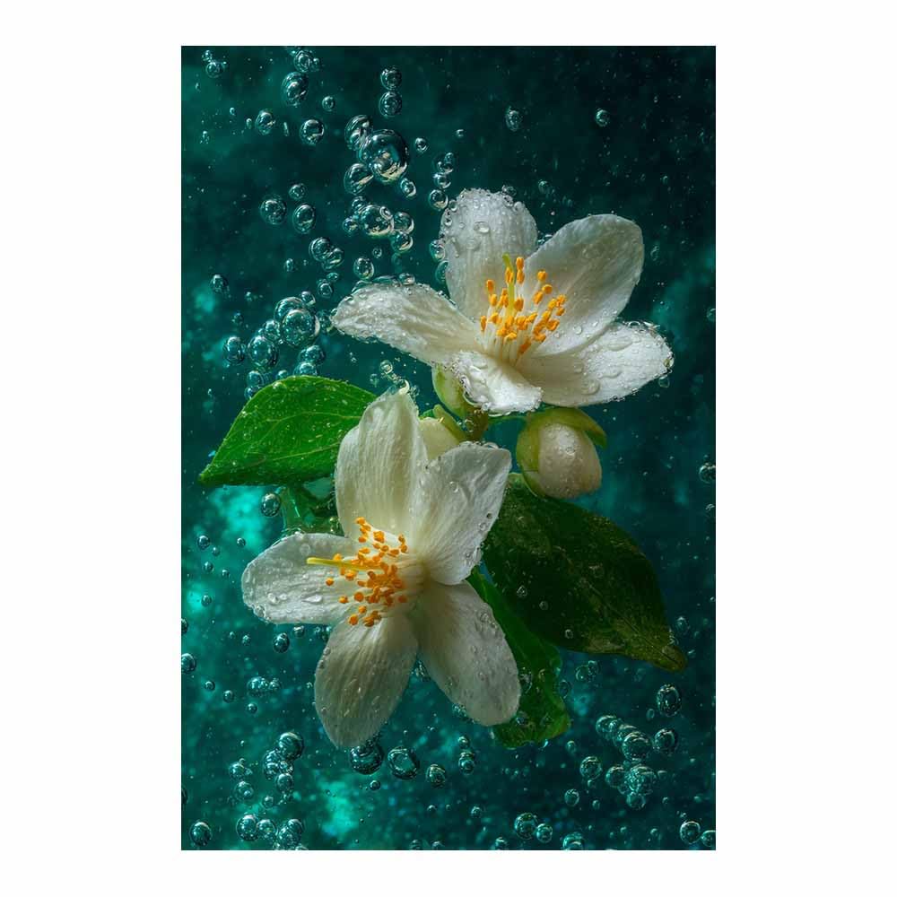 Hoqiu Multicolor Flowers Wall Canvas Jasmine Underwater Scene Artwork, Wall Decoration Living Room Bedroom Hallway Stairs Decoration.(Multicolor)-30X40cm Unframed
