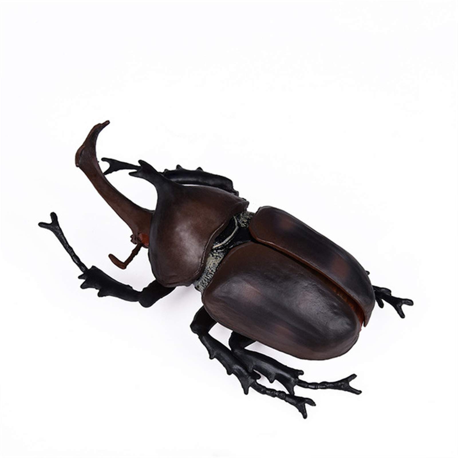 【フィギュア】昆虫＆動物アソート(ランダム) 立体甲虫図鑑 世界のクワガタ／世界のカブトムシ 【種類ランダム