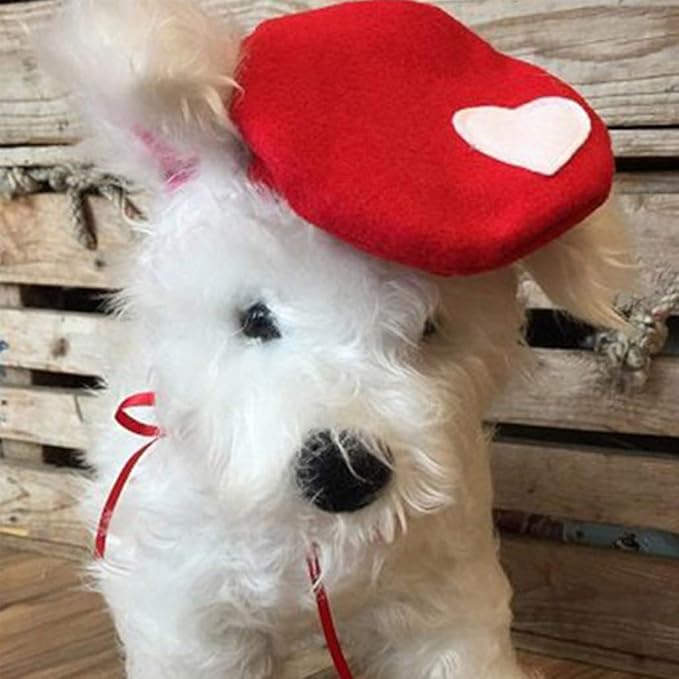 dog beret amazon