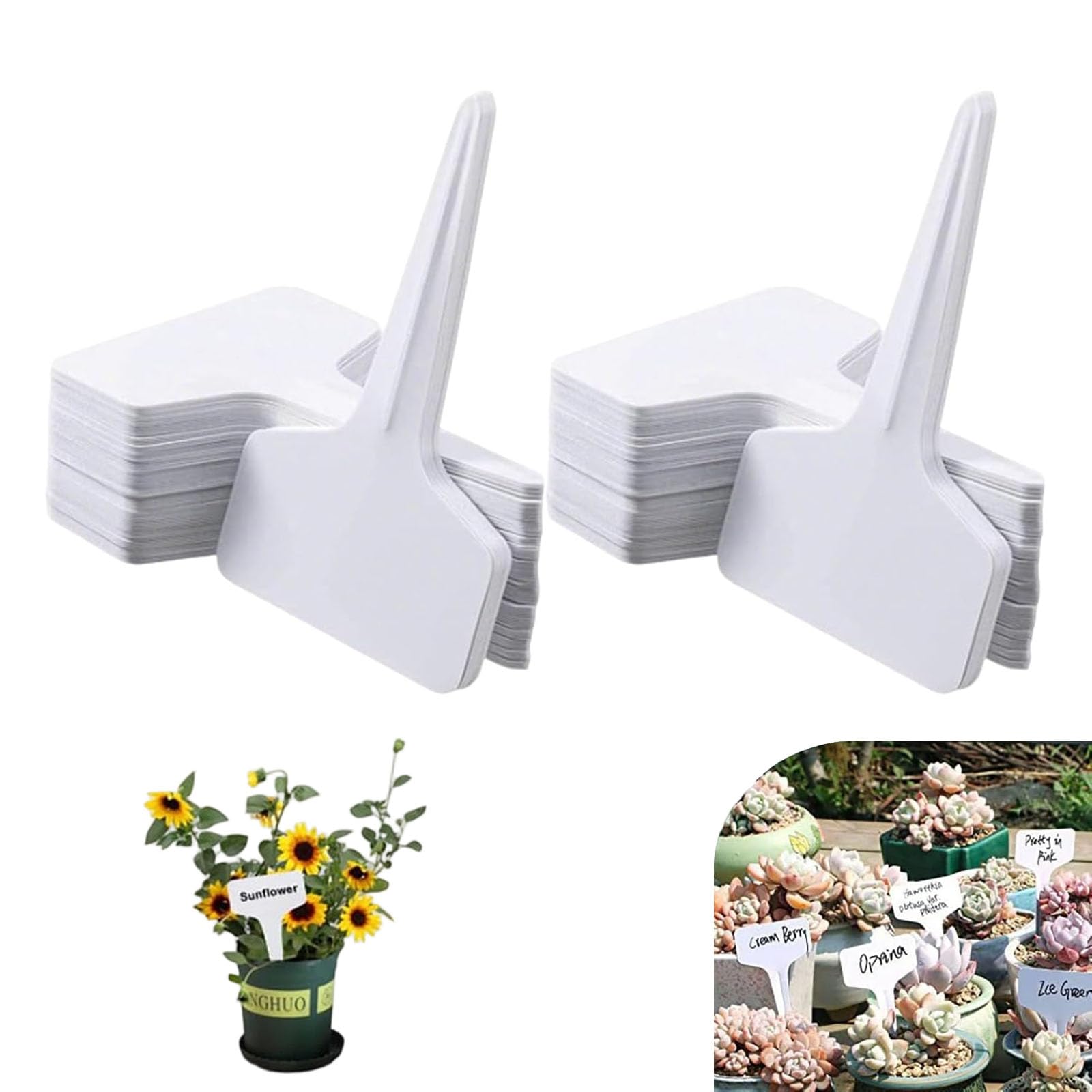Name Tag, 200 PCS Plant Name Tags for Garden, Plant Labels for Seedlings and Garden Tags, Plant Identification for Home Gardens and Greenhouses, 6 cm by 10 cm PVC Plant Label Set-image-37
