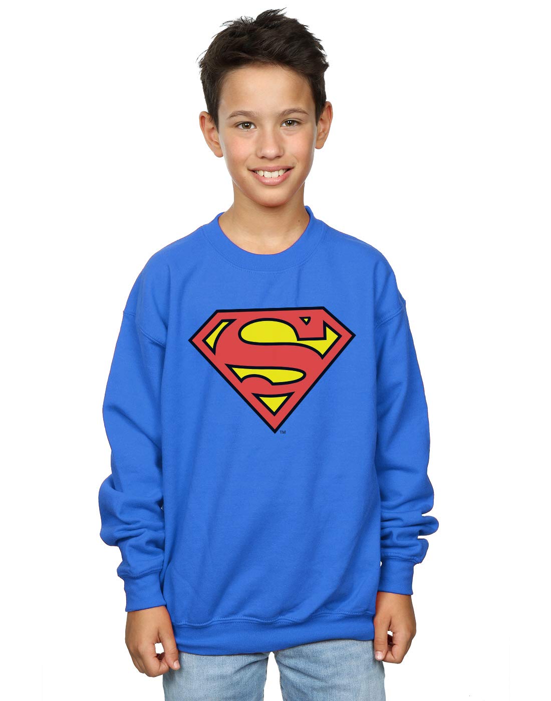 DC Comics Boys Superman Logo Sweatshirt 12-13 years Royal Blue