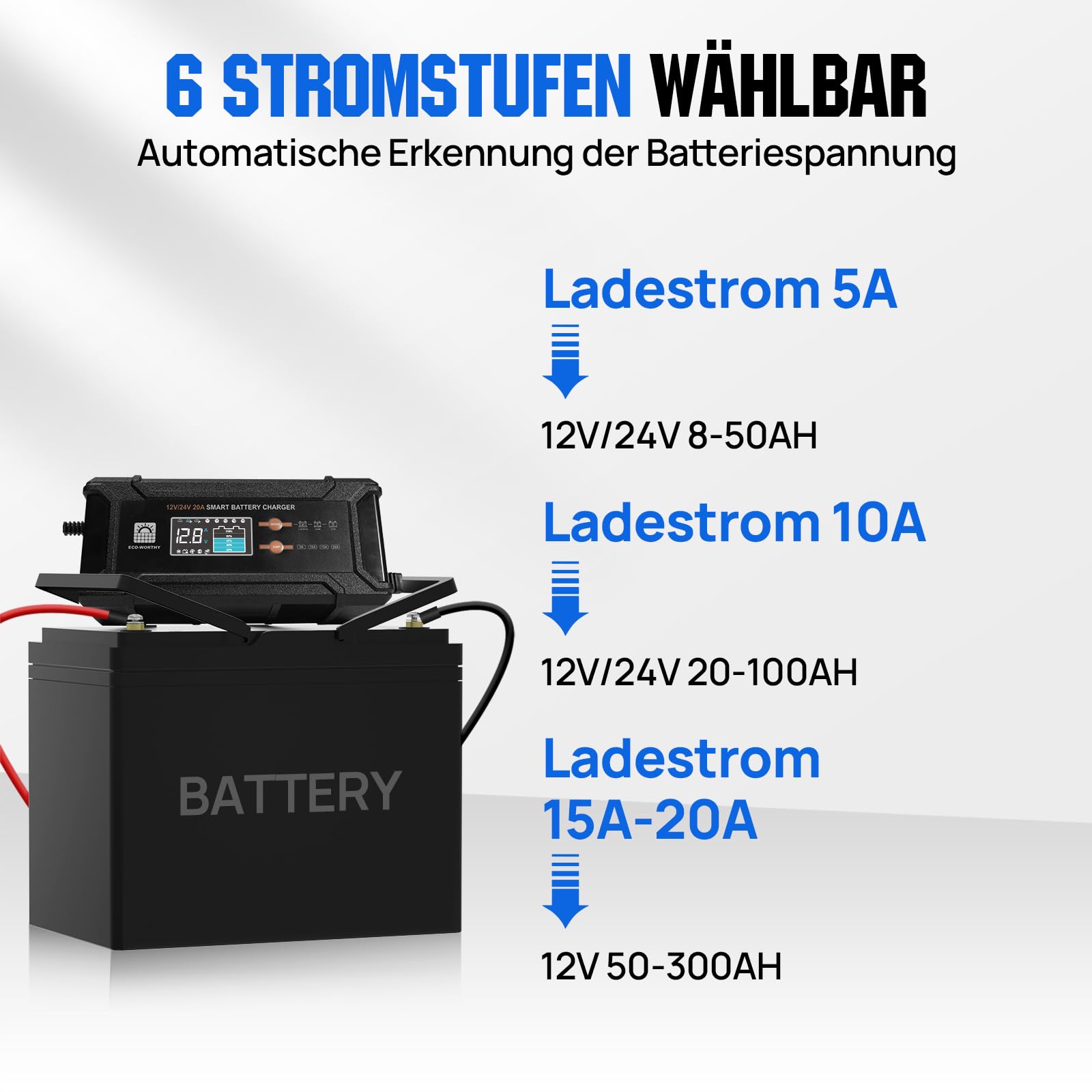 ECO-WORTHY LiFePO4 Bluetooth 12 V 100 Ah con Caricabatterie 12/24 V 20 A, batteria al litio 12 V 100 Ah con protezione BMS a bassa temperatura per camper, barche, roulotte