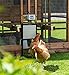 ChickenGuard 'Premium' Automatic Chicken Coop Pop Door Opener Lifts Up to 2 lbs, Timer/Light Sensor | Outdoor/Indoor Auto Door Opener, Chicken Coop Accessories