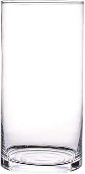 Clear Cylinder Glass Vase, Water Vase for Flowers and Plants Decorative Centerpiece for Home or Wedding4.7"x10"