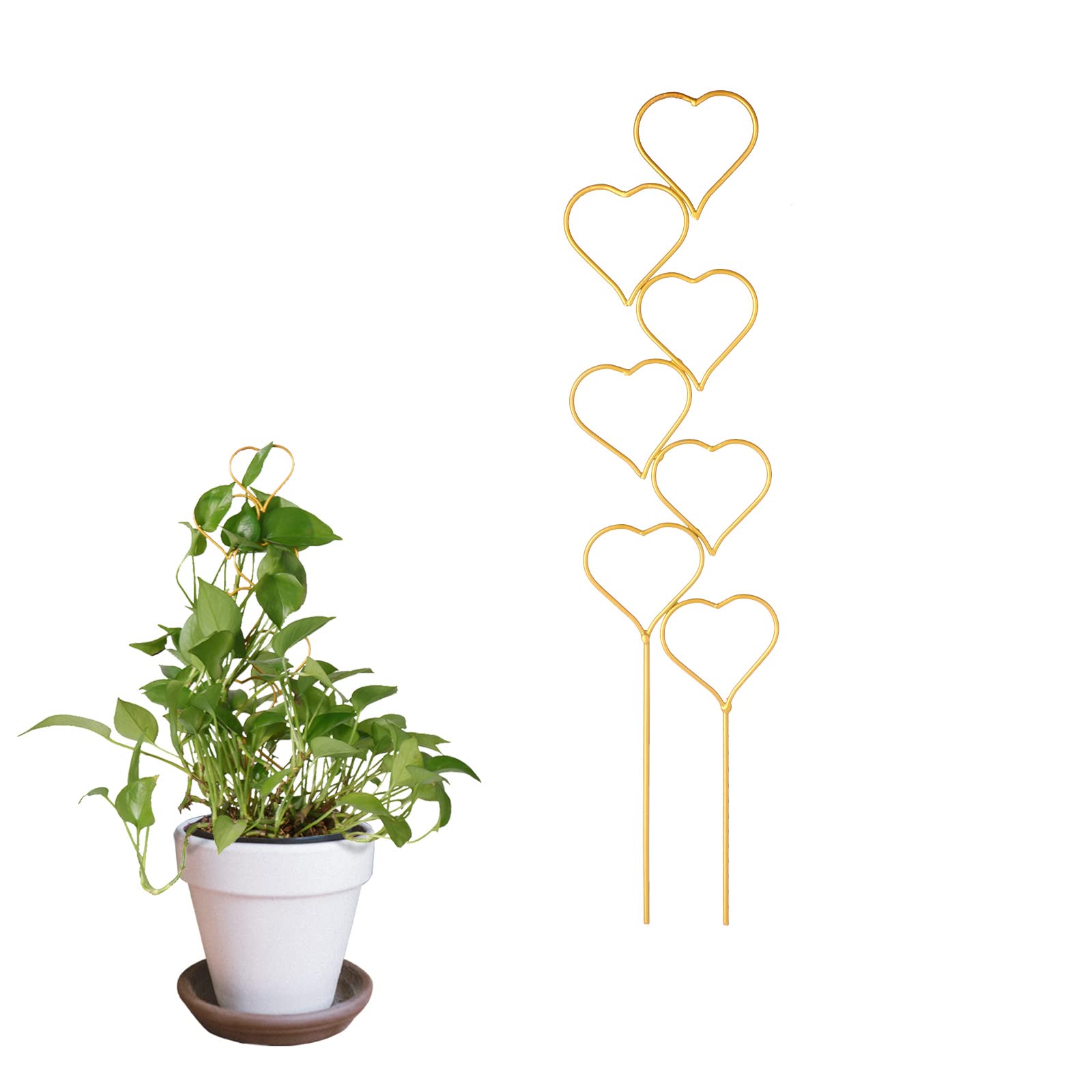 Plant Climbing Frame Love Bracket Flower Pot Support Climbing Flower Stand Gardening Plant Rings Frame Metal Vine Plant Support Trellis for Home(1pcs heart)