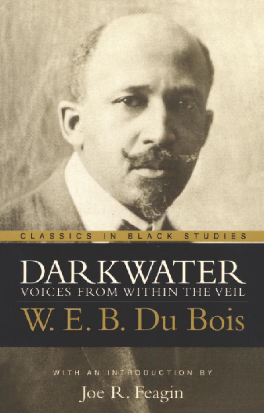 Darkwater: Voices from Within the Veil (Classics in Black Studies)