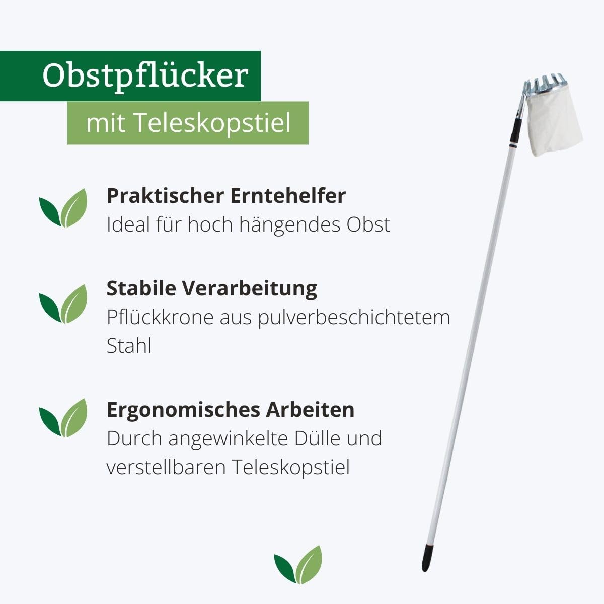 Rekord Obstpflücker mit Teleskopstiel (Stahl, mit Fangbeutel Ø 16 cm) Apfelpflücker, Birnenpflücker, Obstsammler, Obsternter, Erntehelfer, Pflückhilfe