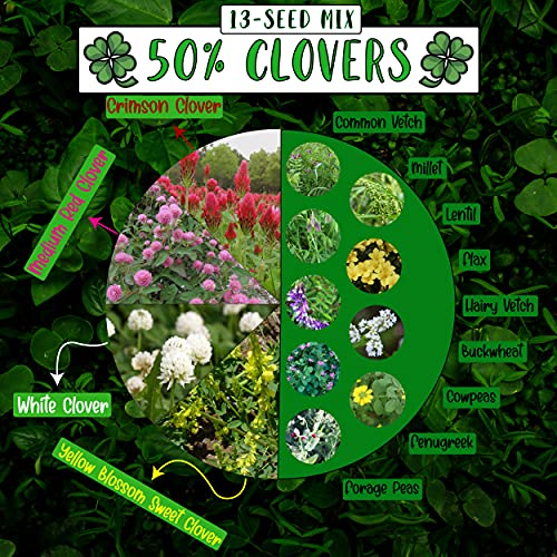 No-Till Cover Crop 13-Seed Mix (1 lb. Bag): [50% Clovers Plus Fenugreek, Vetch, Flax, Cowpeas, Buckwheat, Forage Peas, Millet, Lentils, Crimson Clover, Sweet Yellow, White Clover, Medium Red Clover]