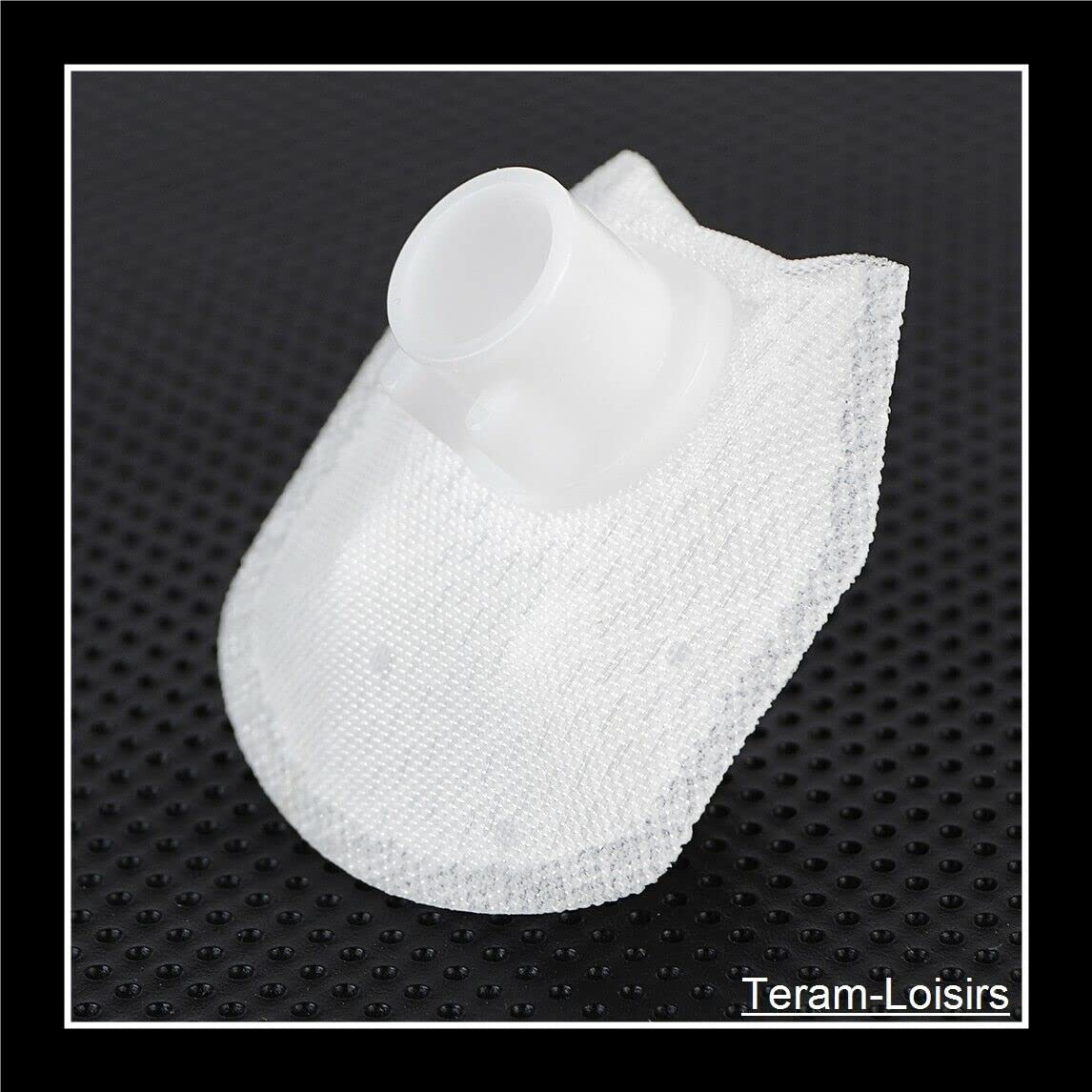 TERAM LOISIRS Filtre Pompe à Essence Compatible pour Suzuki GSF 1250 Bandit 1250 de 2007 à 2016 Neuf France