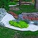Grass Barrier - Landscape Edging - 10