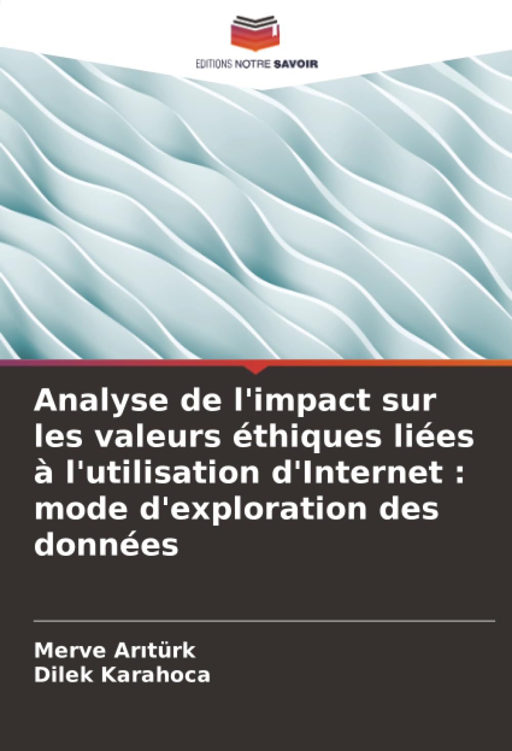Analyse de l'impact sur les valeurs éthiques liées à l'utilisation d'Internet : mode d'exploration des données