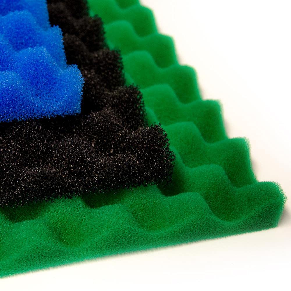 View 6