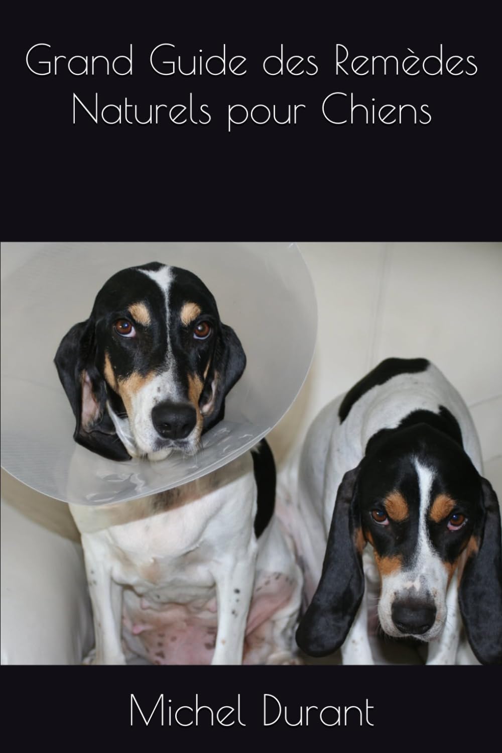 Grand Guide des Remèdes Naturels pour Chiens