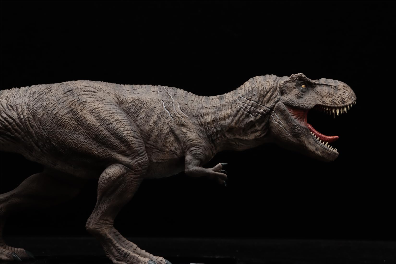 DINO DREAM ティラノサウルス 限定版 Amazon.co.jp: DINO DREAM 限定版 1/30 サイズ ティラノサウルス